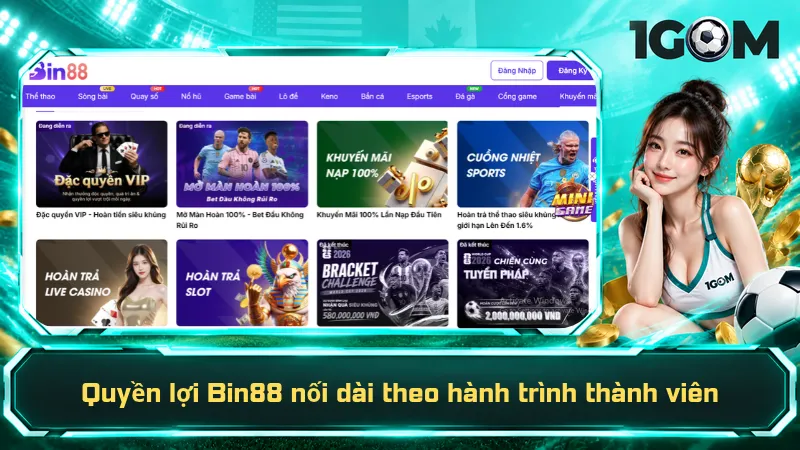 Quyền lợi Bin88 nối dài theo hành trình thành viên