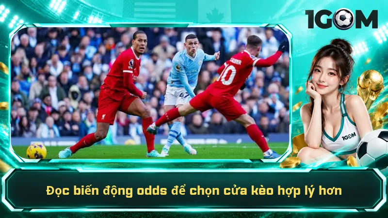 Đọc biến động odds để chọn cửa kèo hợp lý hơn